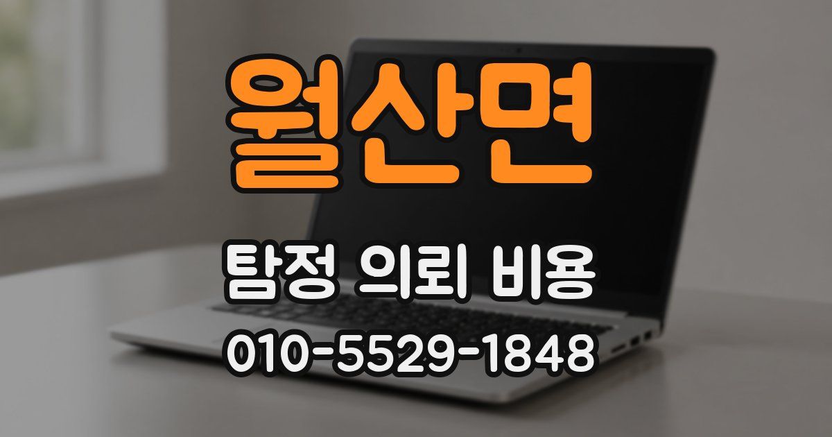 월산면 탐정 의뢰 비용