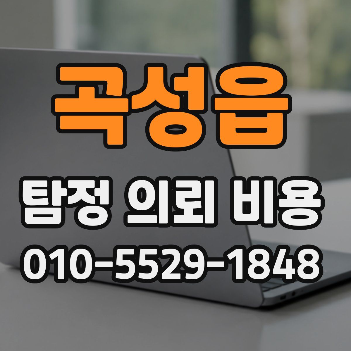 곡성읍 탐정 의뢰 비용