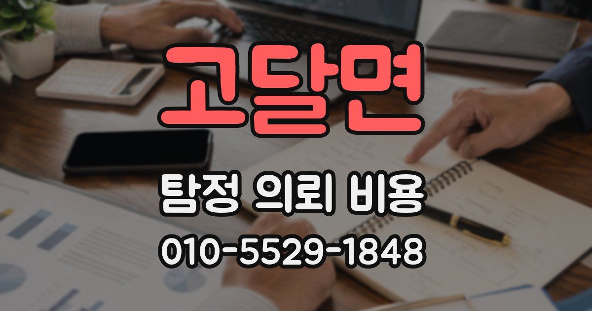 고달면 탐정 의뢰 비용
