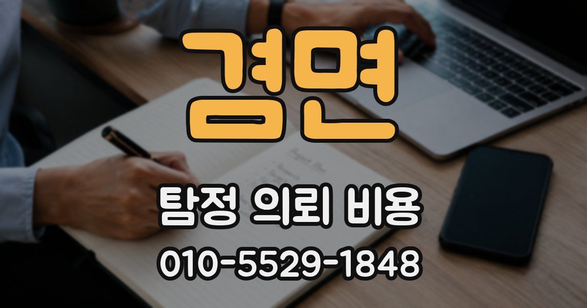 겸면 탐정 의뢰 비용