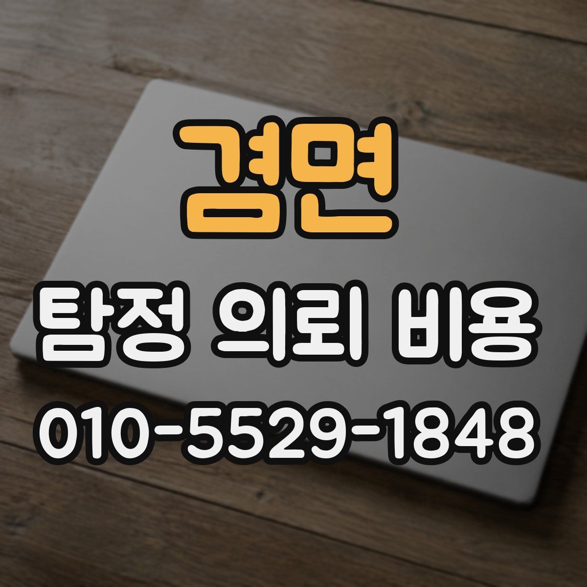 겸면 탐정 의뢰 비용