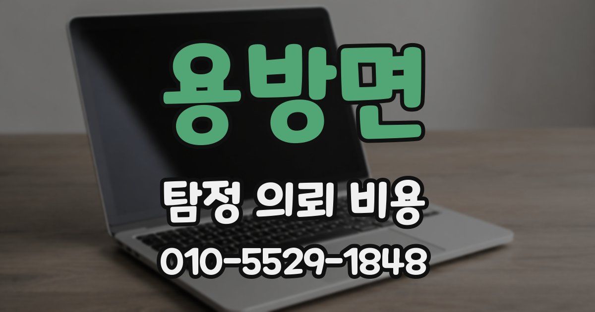 용방면 탐정 의뢰 비용