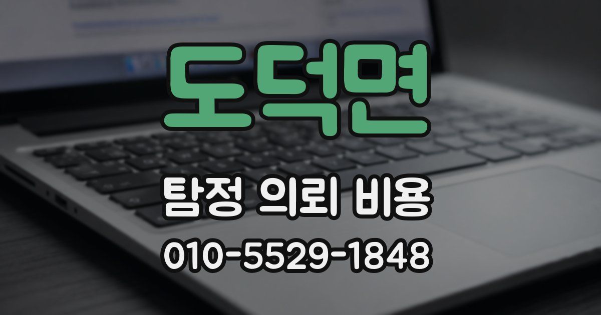 도덕면 탐정 의뢰 비용