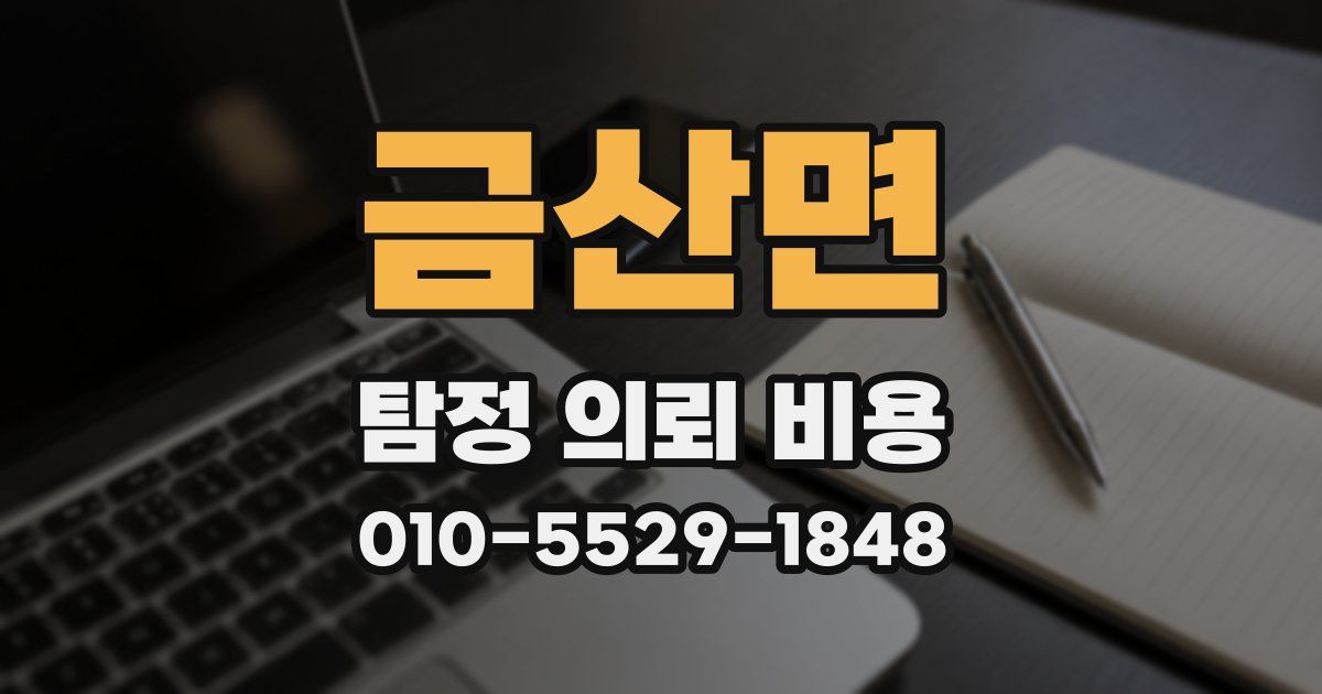 금산면 탐정 의뢰 비용