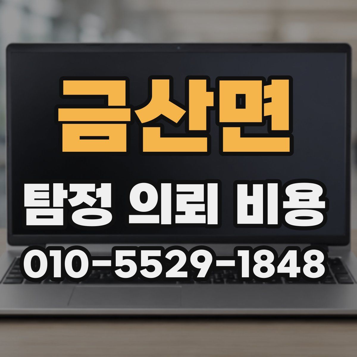 금산면 탐정 의뢰 비용