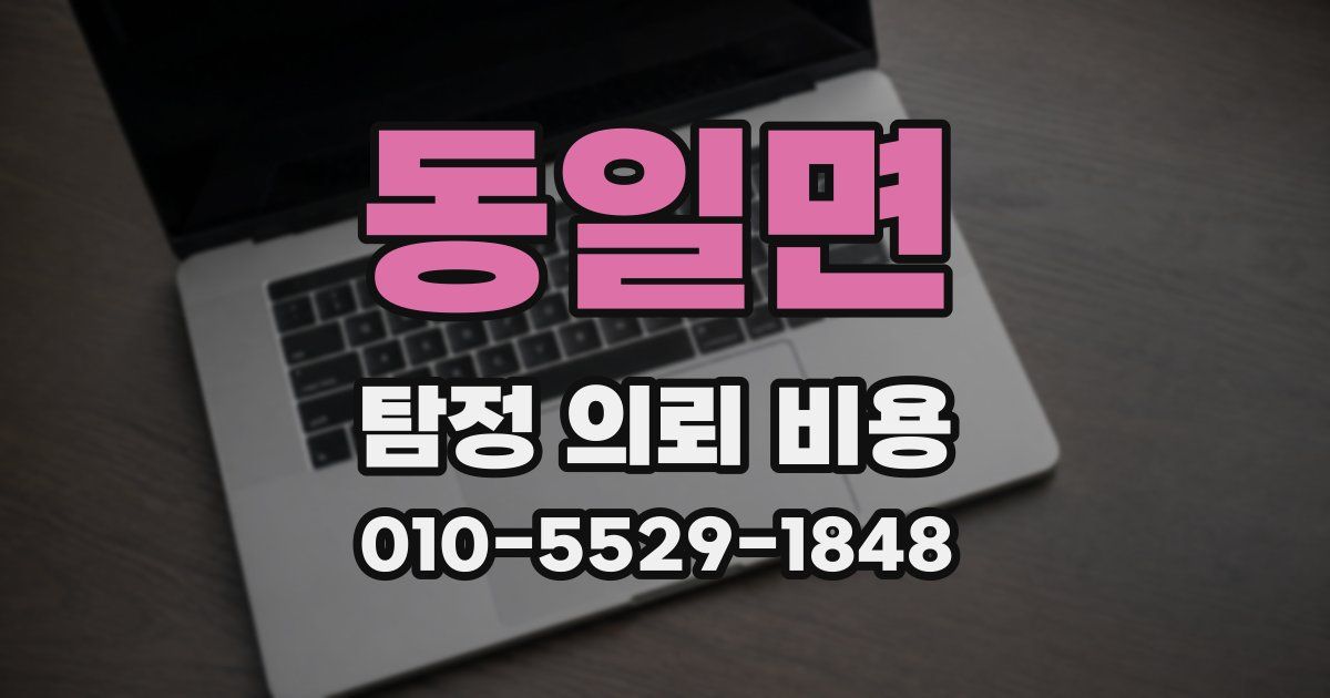 동일면 탐정 의뢰 비용