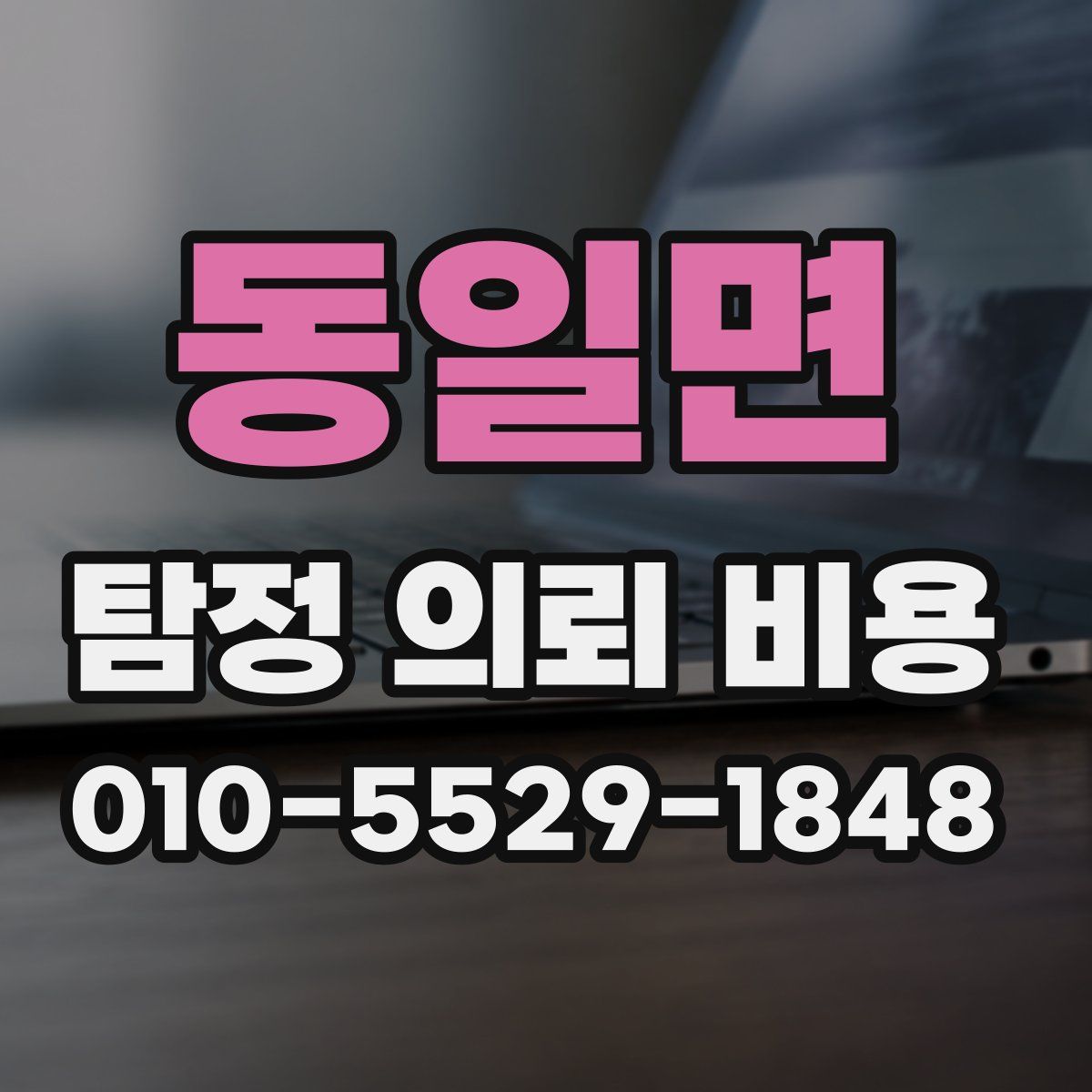 동일면 탐정 의뢰 비용