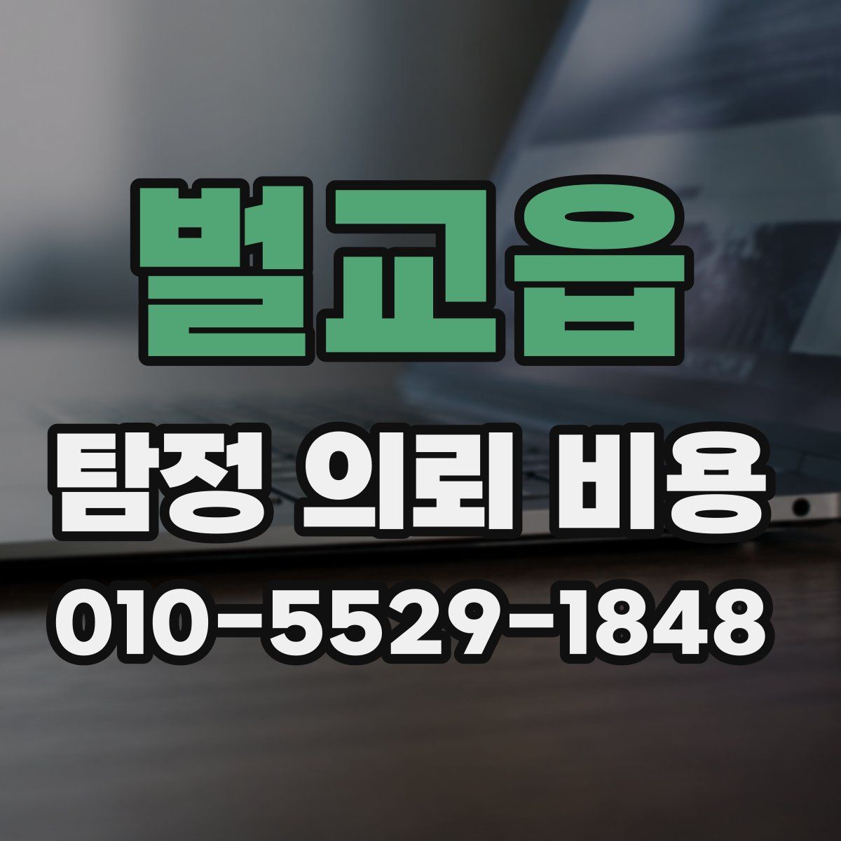 벌교읍 탐정 의뢰 비용