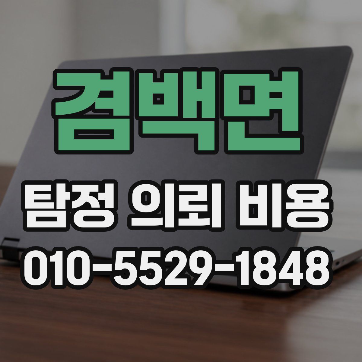 겸백면 탐정 의뢰 비용