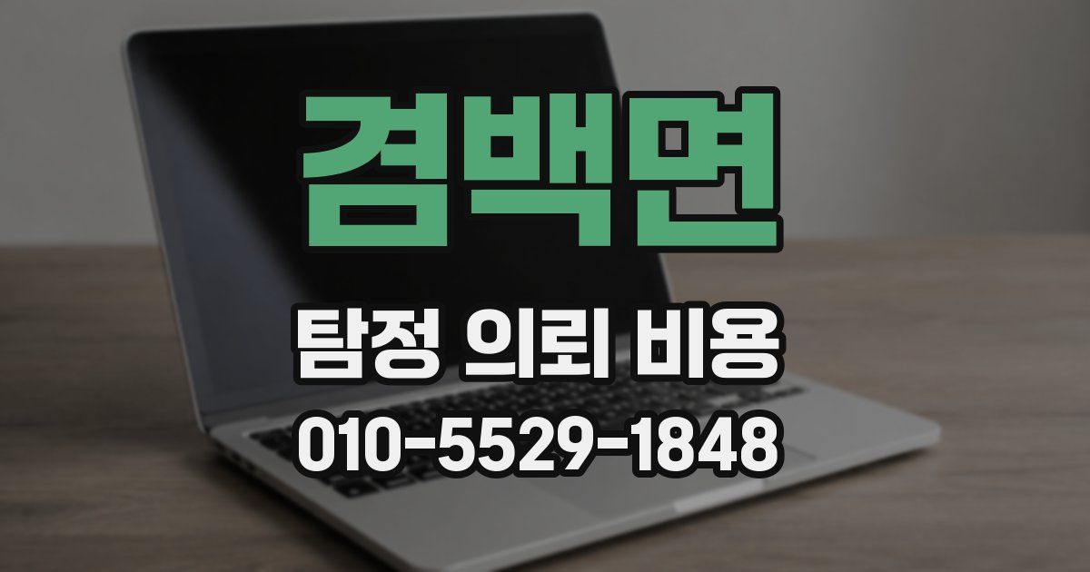 겸백면 탐정 의뢰 비용