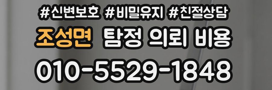 조성면 탐정 의뢰 비용