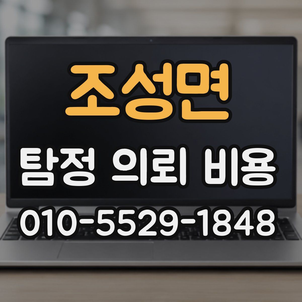 조성면 탐정 의뢰 비용