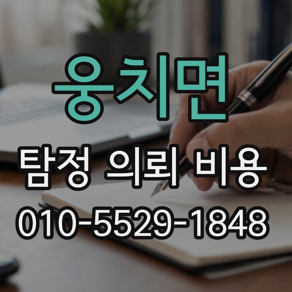 웅치면 탐정 의뢰 비용
