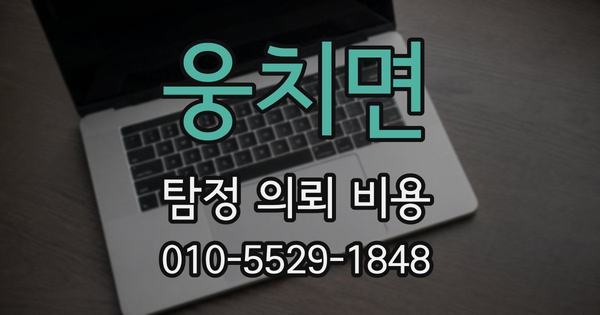 웅치면 탐정 의뢰 비용