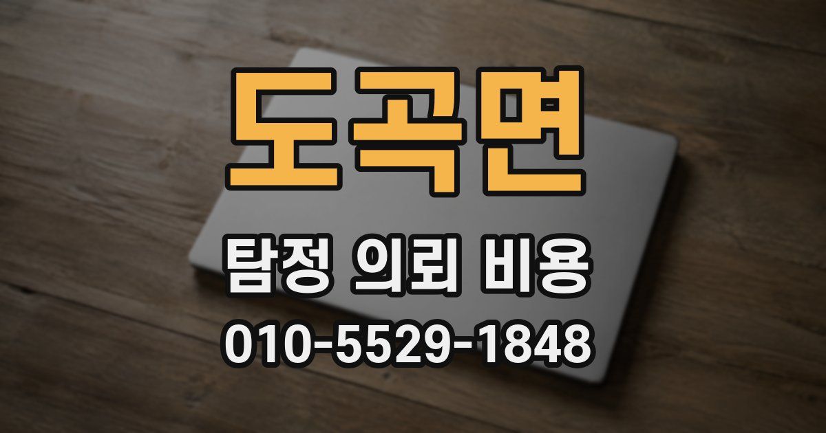 도곡면 탐정 의뢰 비용