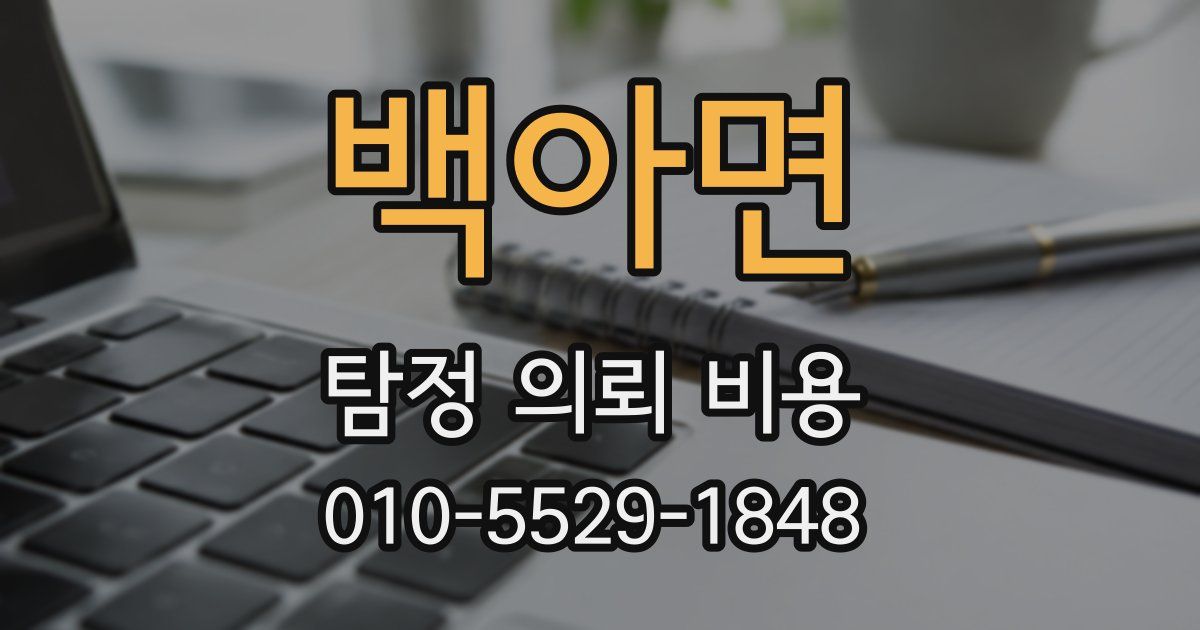 백아면 탐정 의뢰 비용