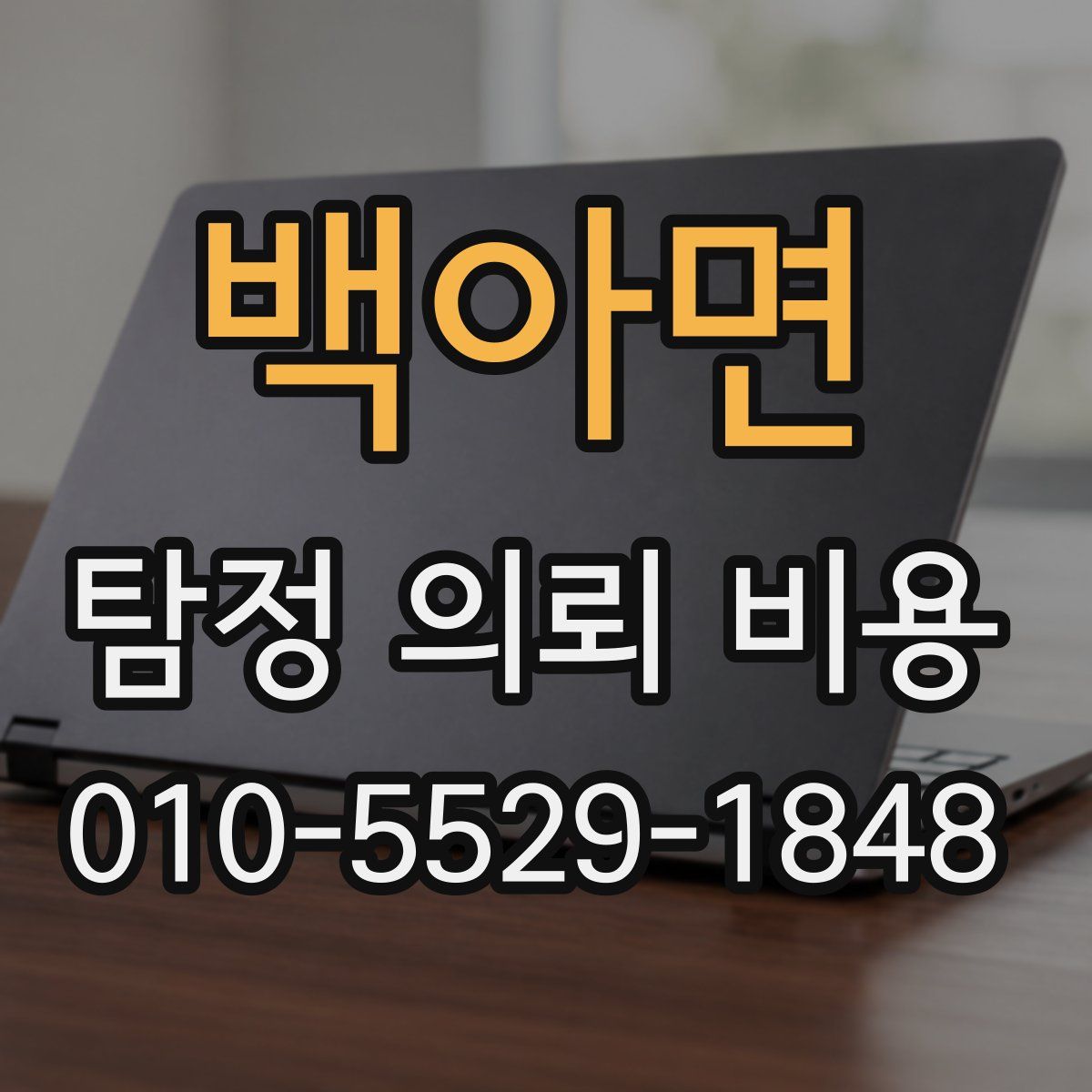 백아면 탐정 의뢰 비용