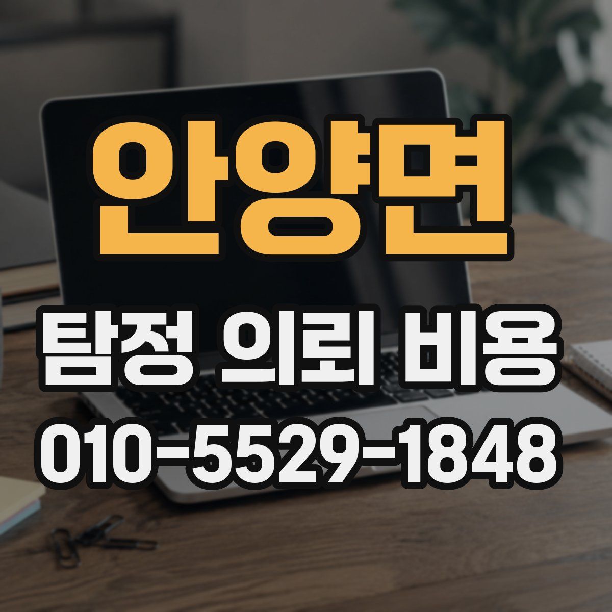 안양면 탐정 의뢰 비용