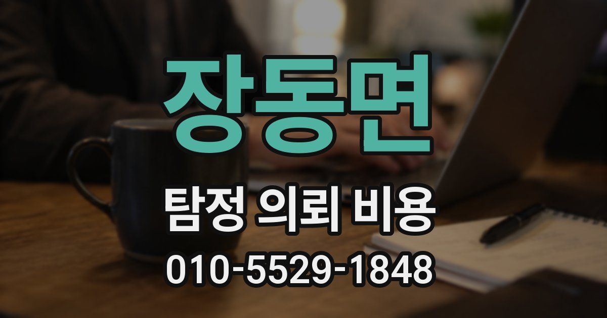 장동면 탐정 의뢰 비용