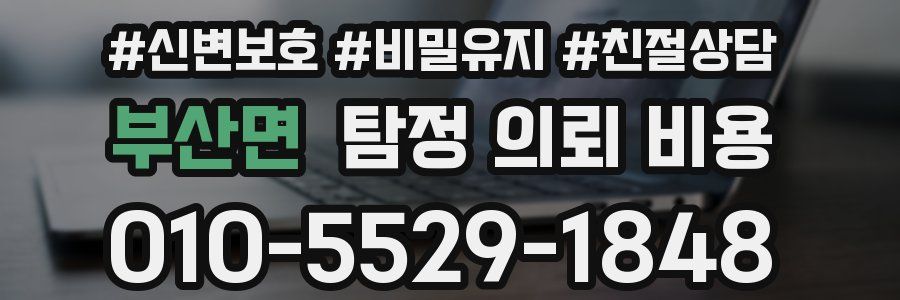 부산면 탐정 의뢰 비용