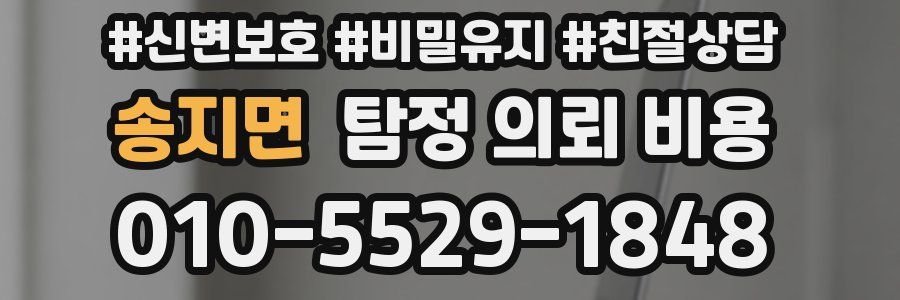 송지면 탐정 의뢰 비용
