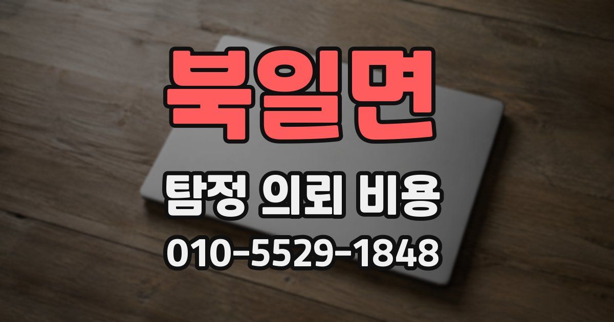 북일면 탐정 의뢰 비용