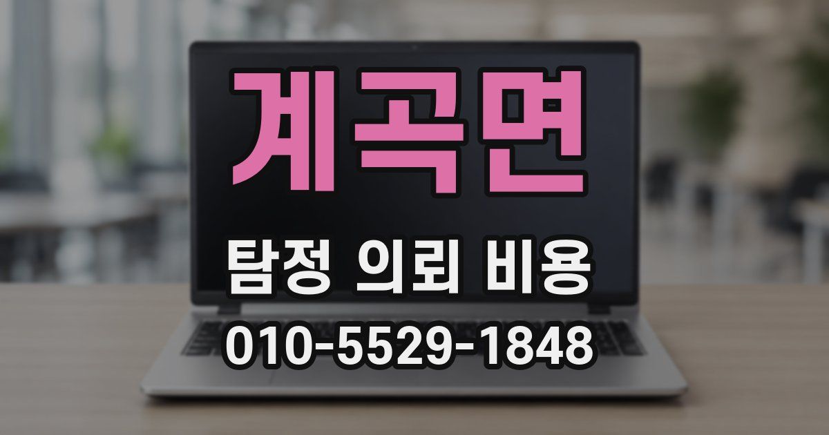 계곡면 탐정 의뢰 비용