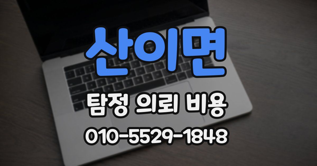산이면 탐정 의뢰 비용