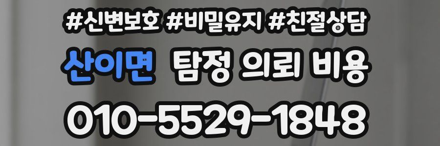 산이면 탐정 의뢰 비용