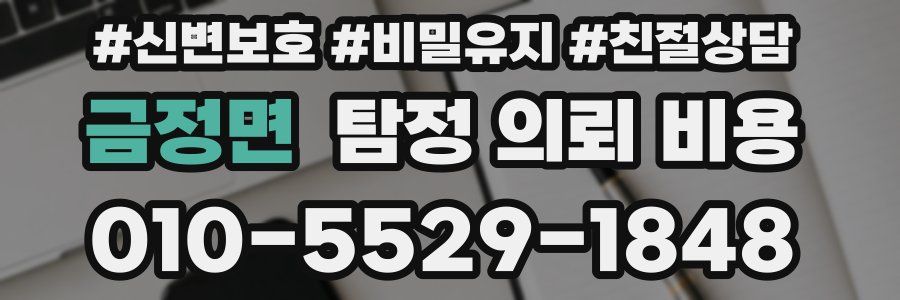 금정면 탐정 의뢰 비용