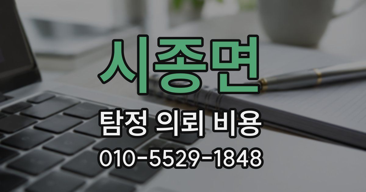 시종면 탐정 의뢰 비용