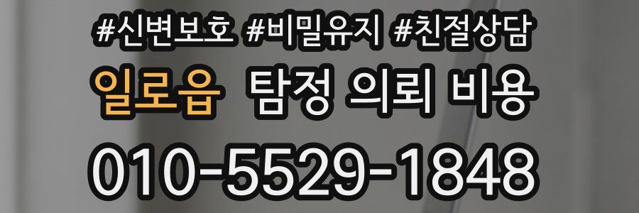 일로읍 탐정 의뢰 비용