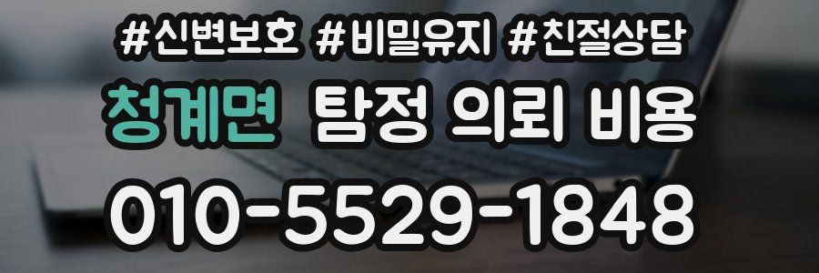 청계면 탐정 의뢰 비용