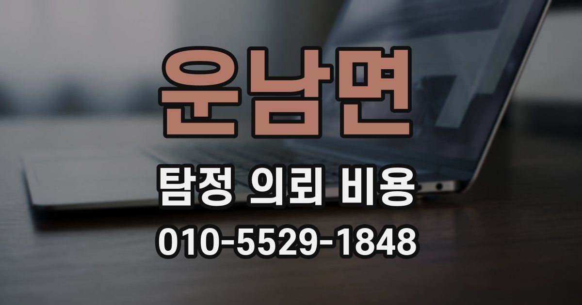 운남면 탐정 의뢰 비용