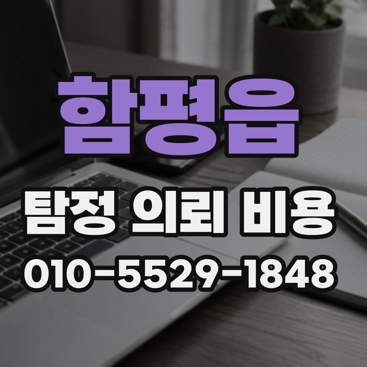 함평읍 탐정 의뢰 비용