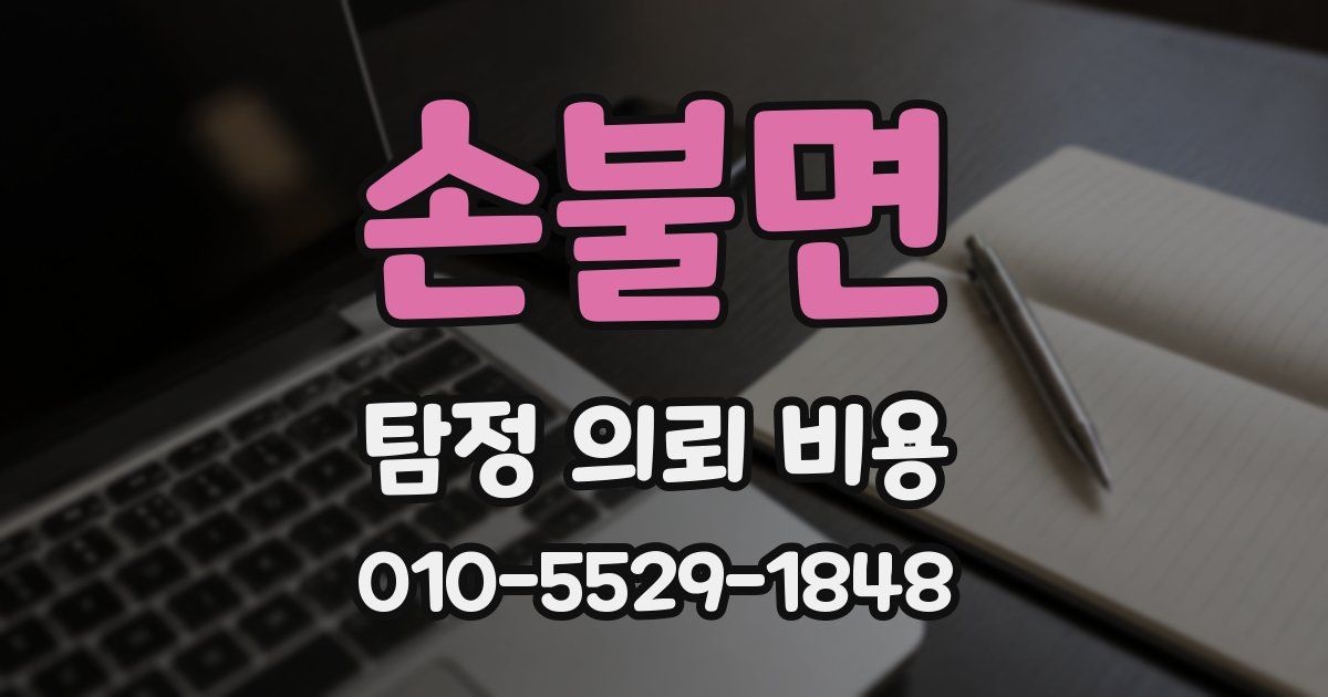 손불면 탐정 의뢰 비용