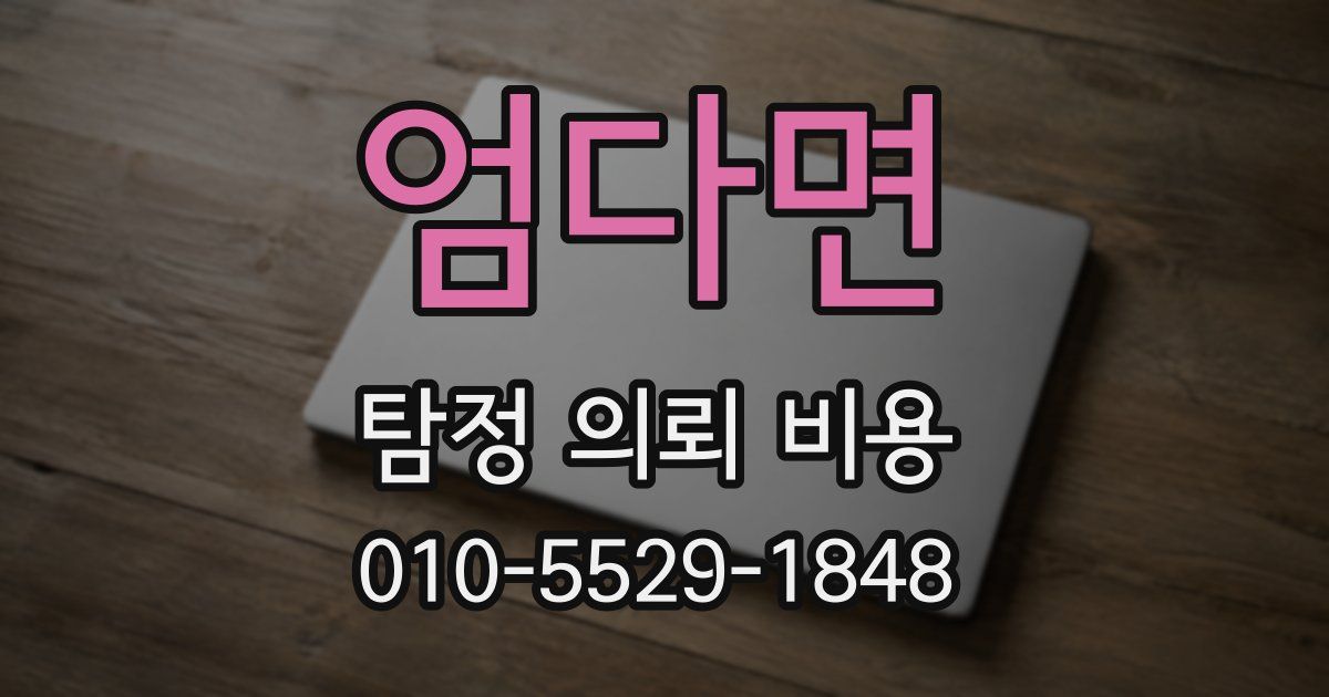 엄다면 탐정 의뢰 비용