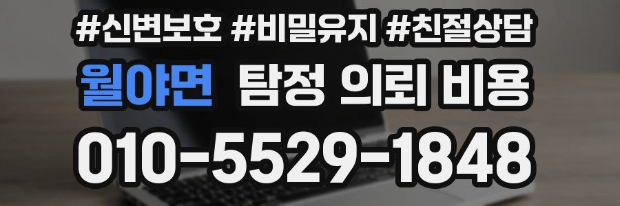 월야면 탐정 의뢰 비용