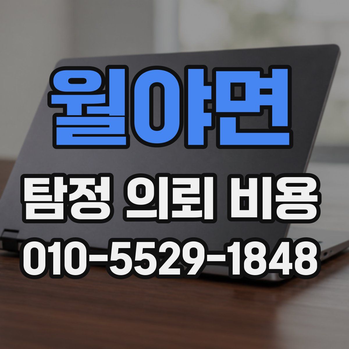 월야면 탐정 의뢰 비용
