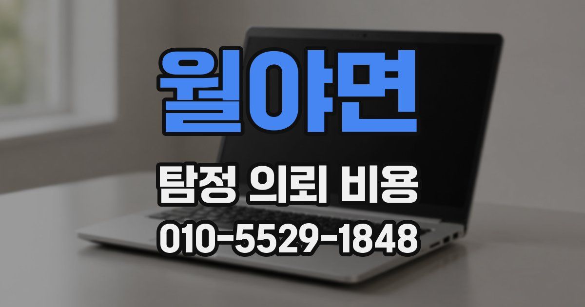 월야면 탐정 의뢰 비용