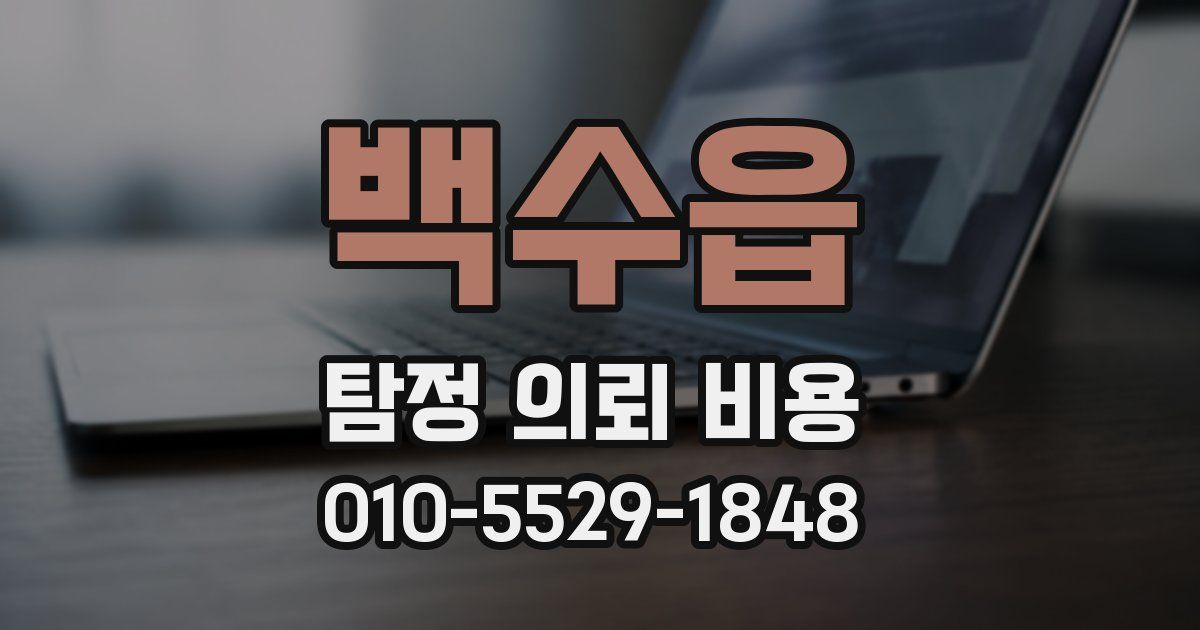 백수읍 탐정 의뢰 비용