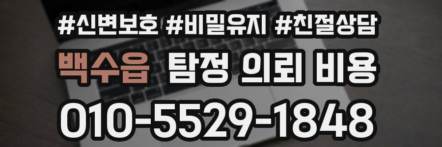 백수읍 탐정 의뢰 비용