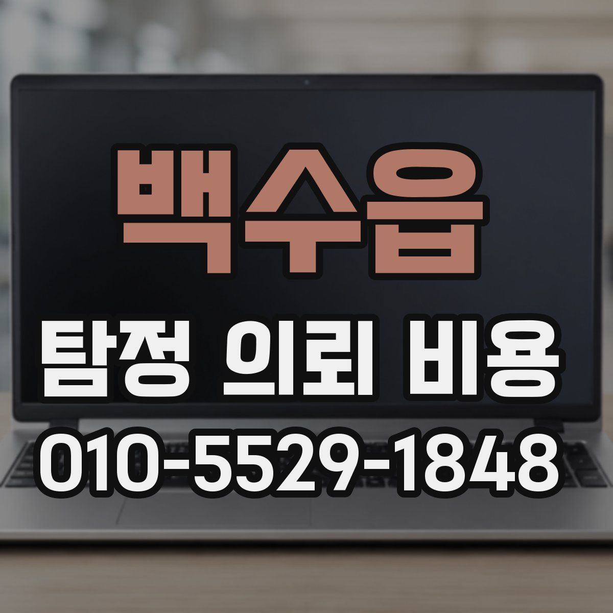 백수읍 탐정 의뢰 비용