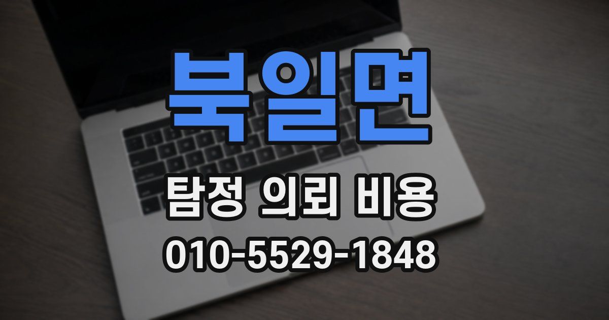 북일면 탐정 의뢰 비용