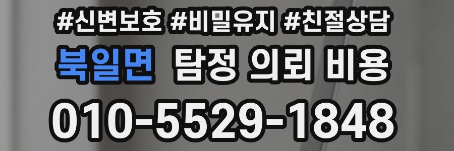 북일면 탐정 의뢰 비용