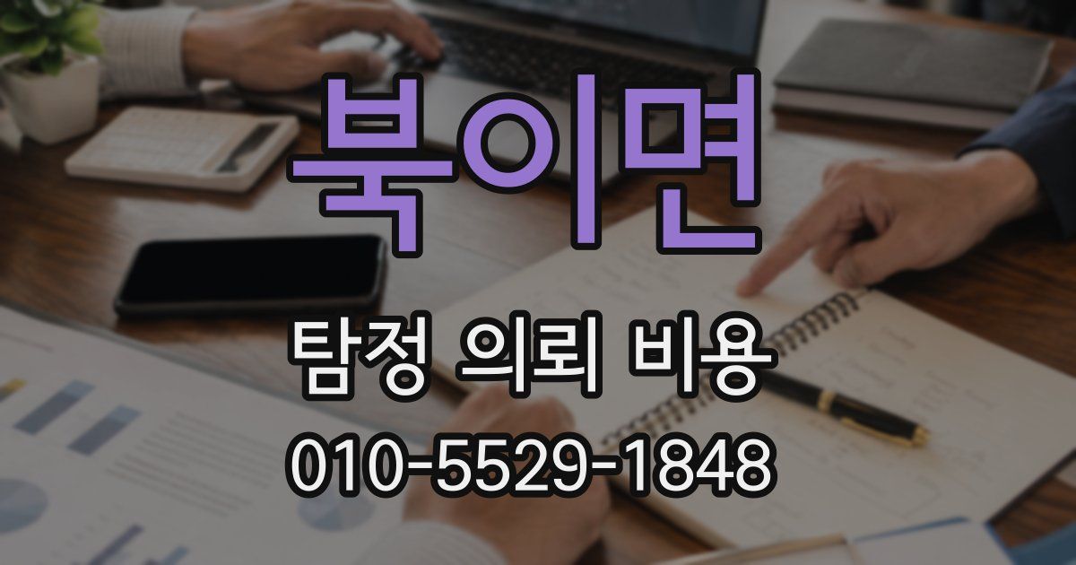 북이면 탐정 의뢰 비용