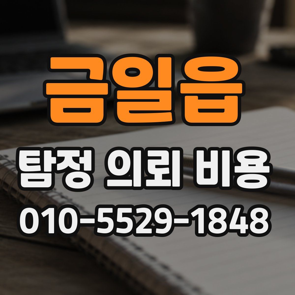 금일읍 탐정 의뢰 비용