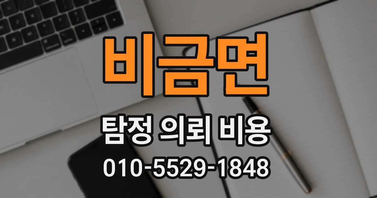 비금면 탐정 의뢰 비용