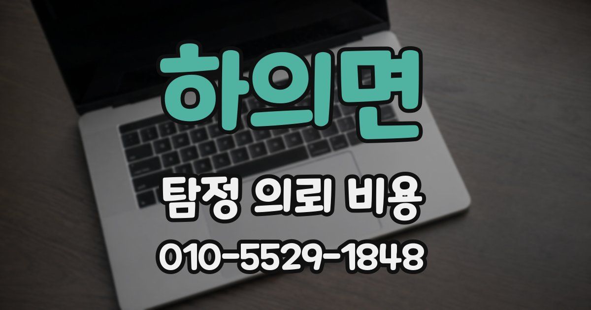 하의면 탐정 의뢰 비용