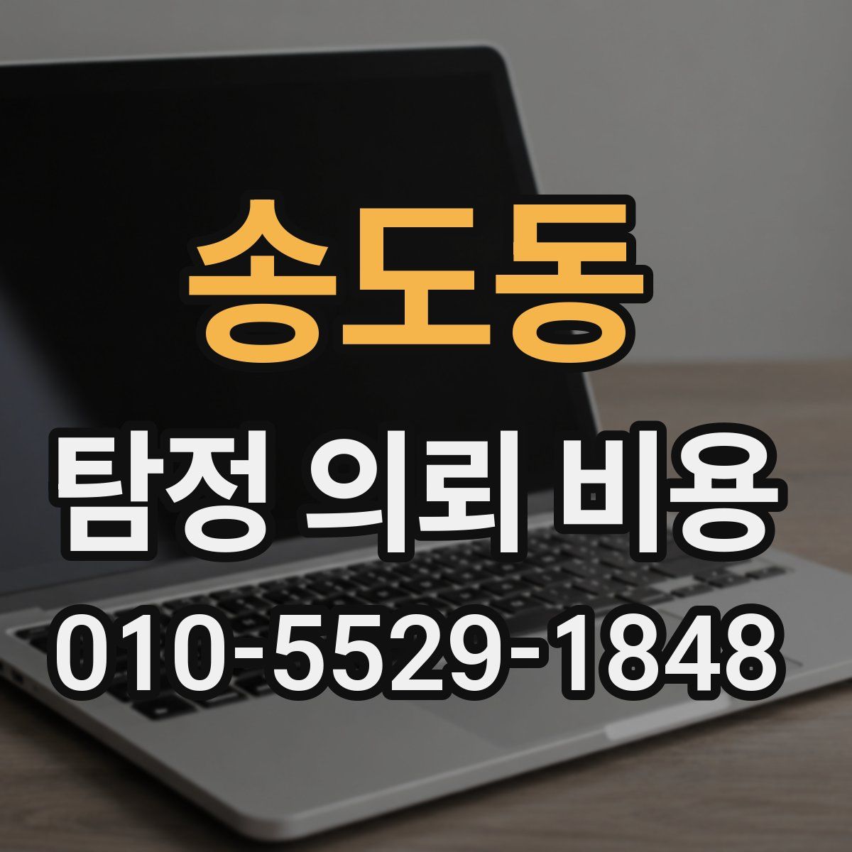 송도동 탐정 의뢰 비용